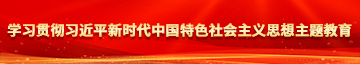 啊啊啊不要插要高潮学习贯彻习近平新时代中国特色社会主义思想主题教育